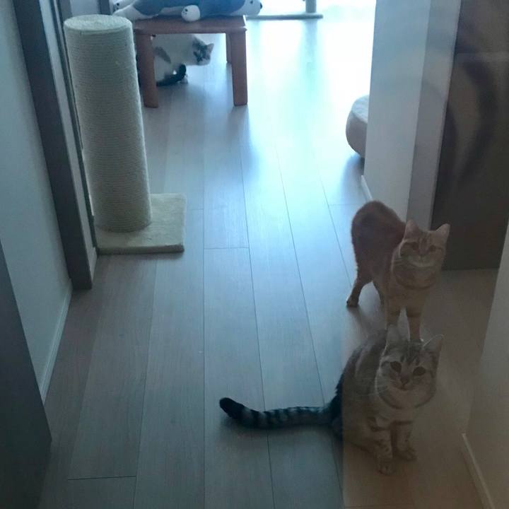 Bb6cdd23 f431 4793 8f06 b3d910109952 1514424565938