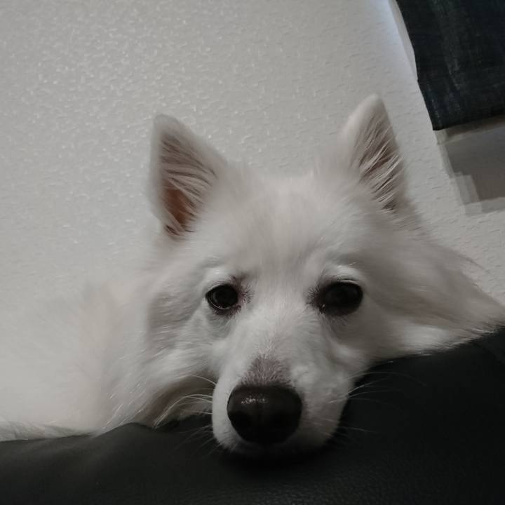 Bb6ce07e 220b 4f57 a9dd f98182eaf3ea 1551321097743