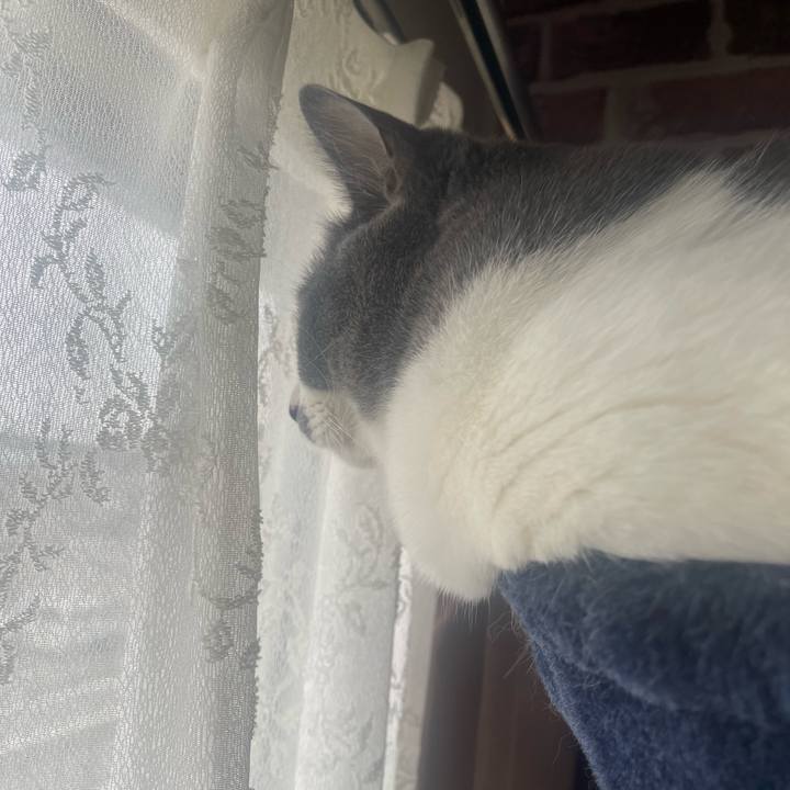 Bb6ce266 14d8 49cb 8654 09a3d3f979b2 1689289594722