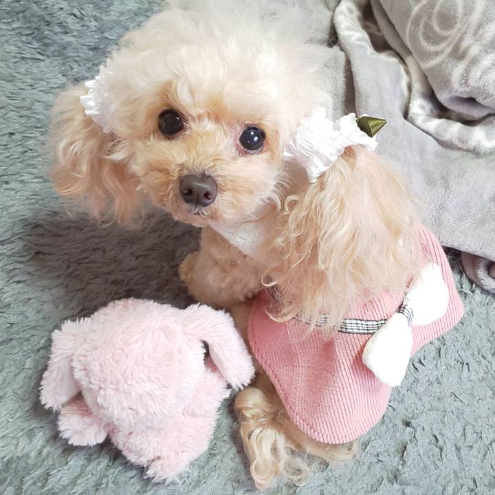 Bb6cf7ed 36b3 4180 bc1e d6f4acc93313 1647687106872