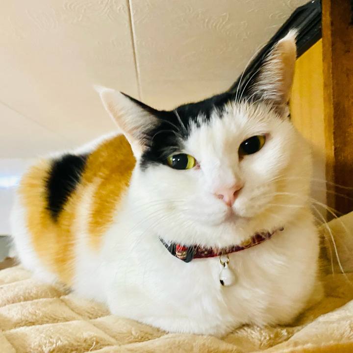 Bb6d151f 64a5 40ef bb52 b124f00336cf 1667424484630