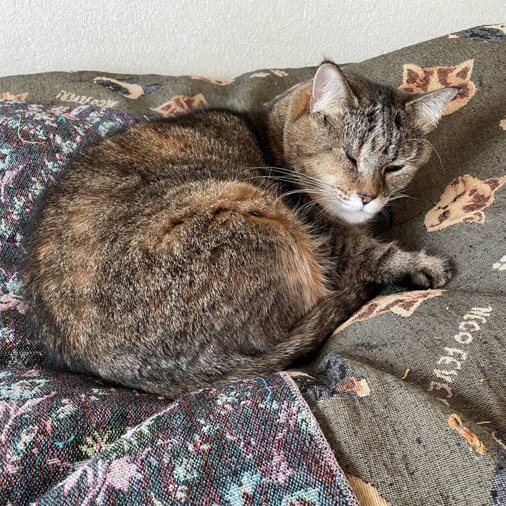 Bb6d2987 93aa 4129 8276 c1f62ce48ed3 1735721538243