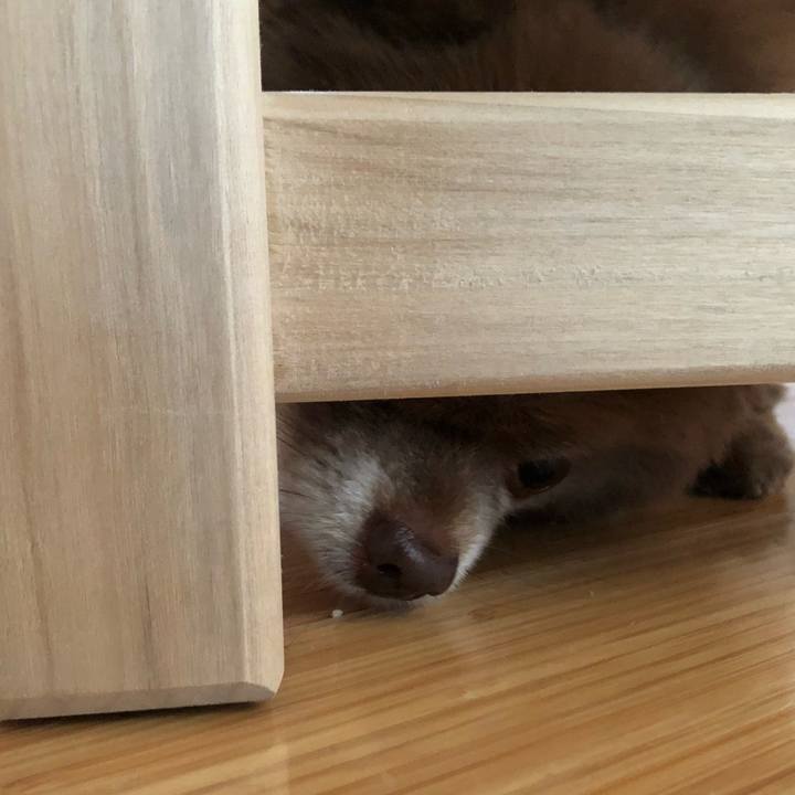 Bb6d3724 c160 4f74 8286 67e478958a09 1576542191034