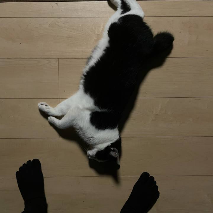 Bb6d4bc6 6267 4651 a552 4b4641fe492d 1690973820144