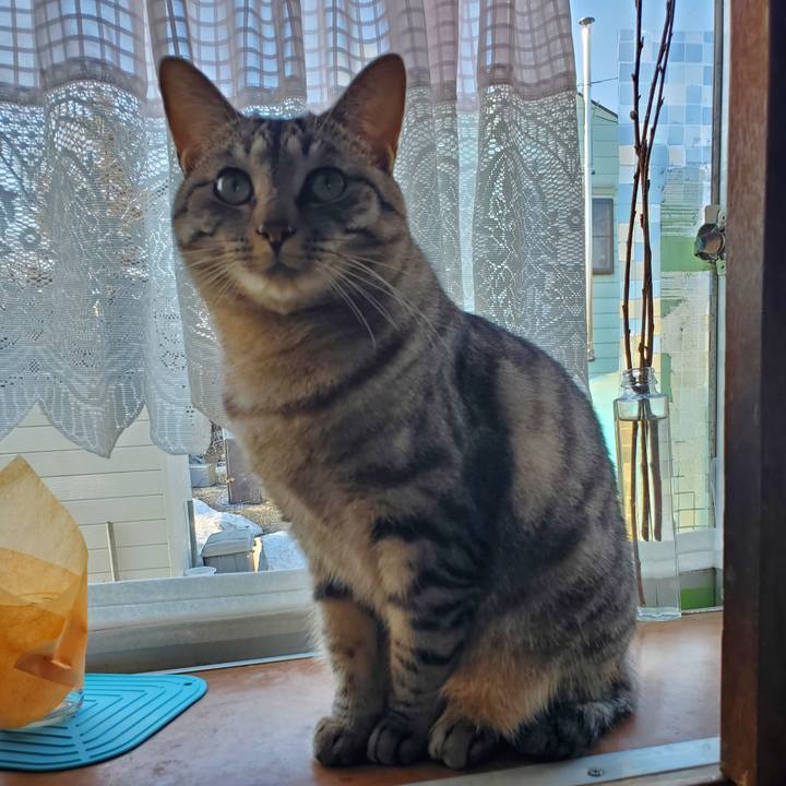 Bb6d5c10 e2a0 4e32 944d 2de162e55993 1713233185484