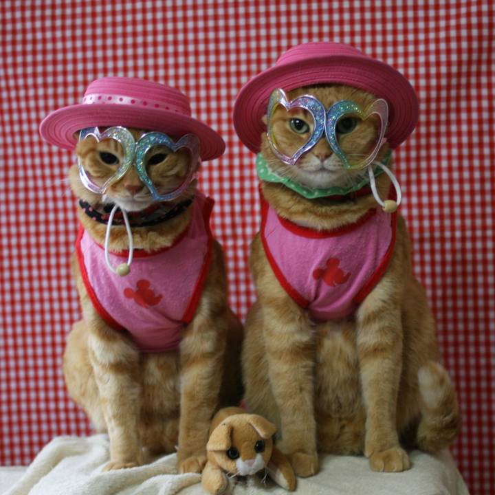 Bb6d8984 0512 443a 8139 6a907a1b6165 1513352163342