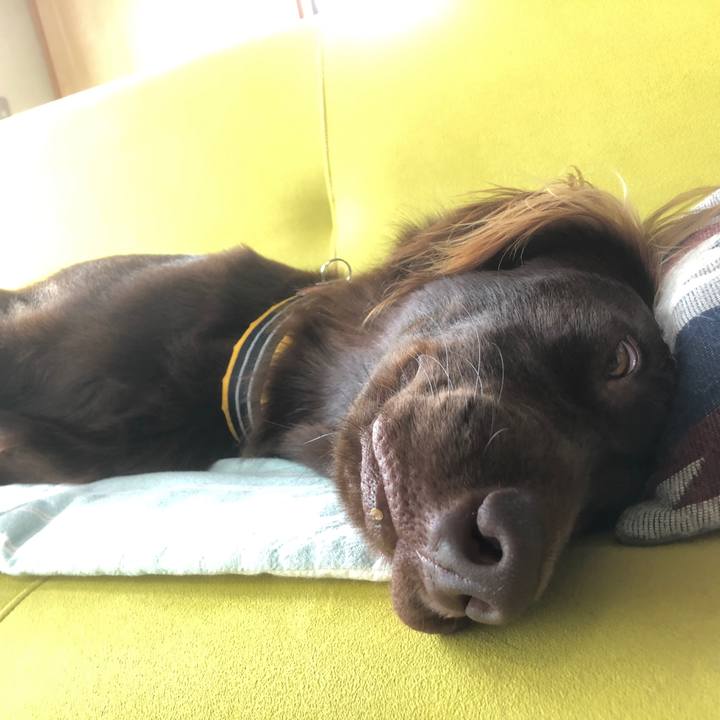 Bb6db824 00cc 494f 8d53 fca3315719c0 1594897926394