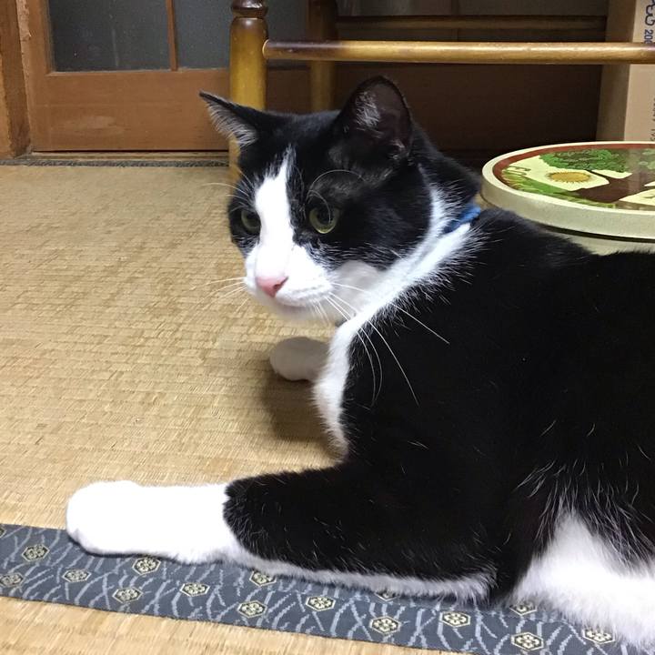 Bb6de6a4 b87d 4855 9ee0 49cf23a5ee6a 1684324768766