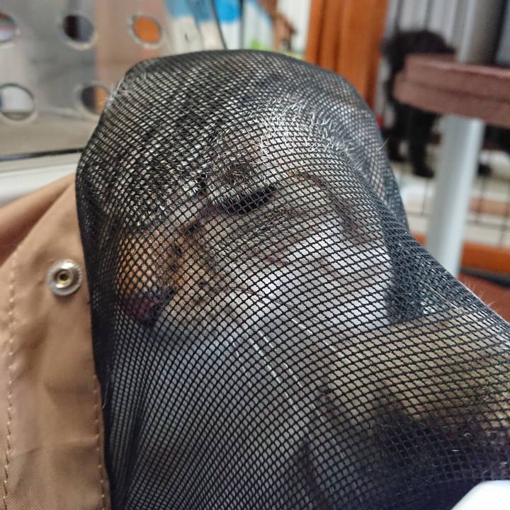 Bb6e23d0 2d5d 4f29 ac4b 3e61e2460cf3 1559355848698