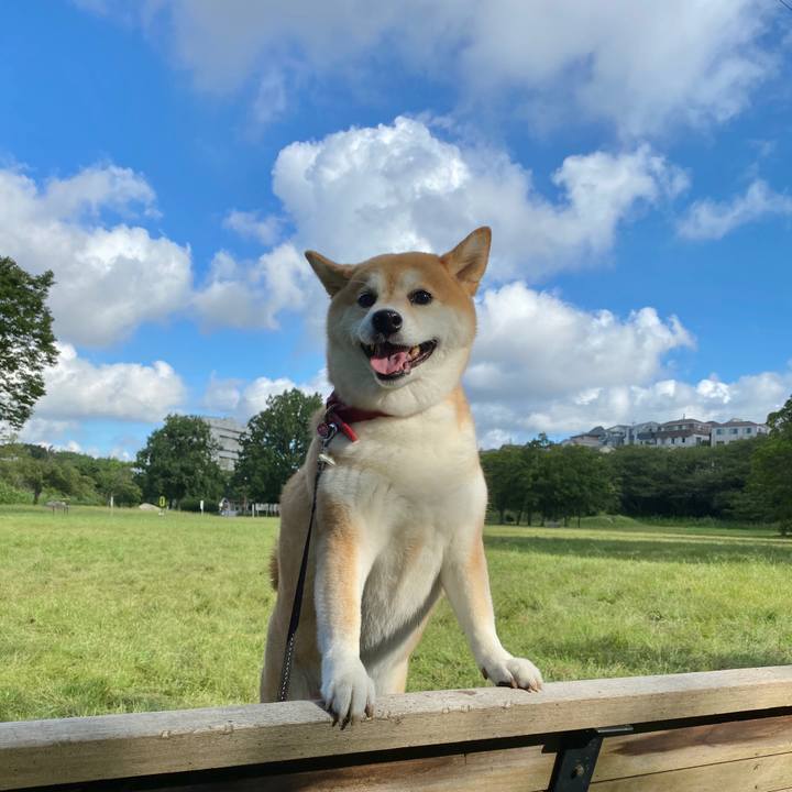 Bb6e261f d927 4b6e 9d7e cee27605b838 1598748513033