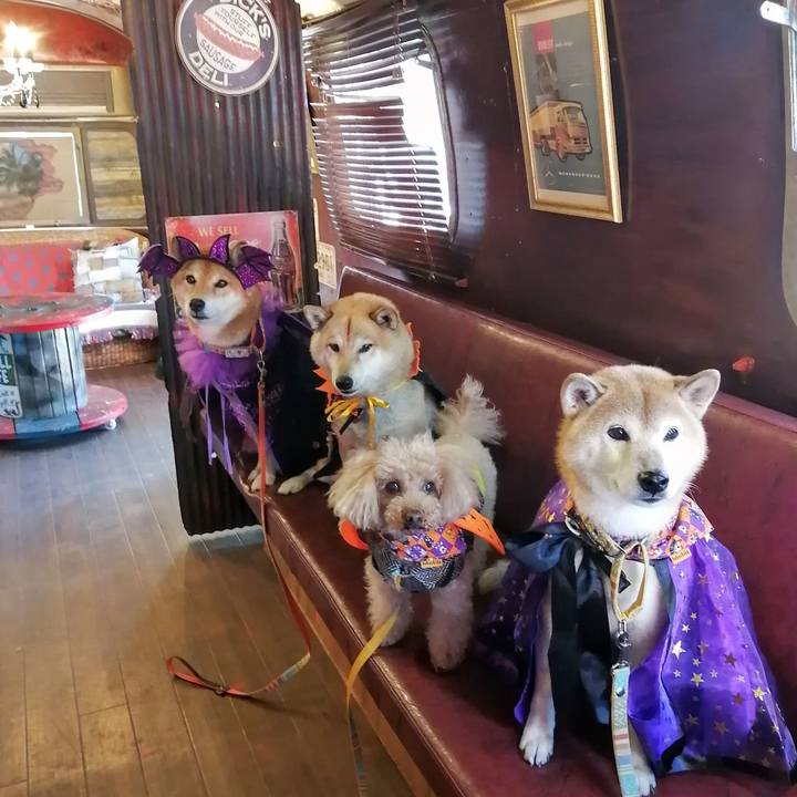 Bb6e3e87 d75f 4b00 97b0 488a5c6e2855 1635598707533