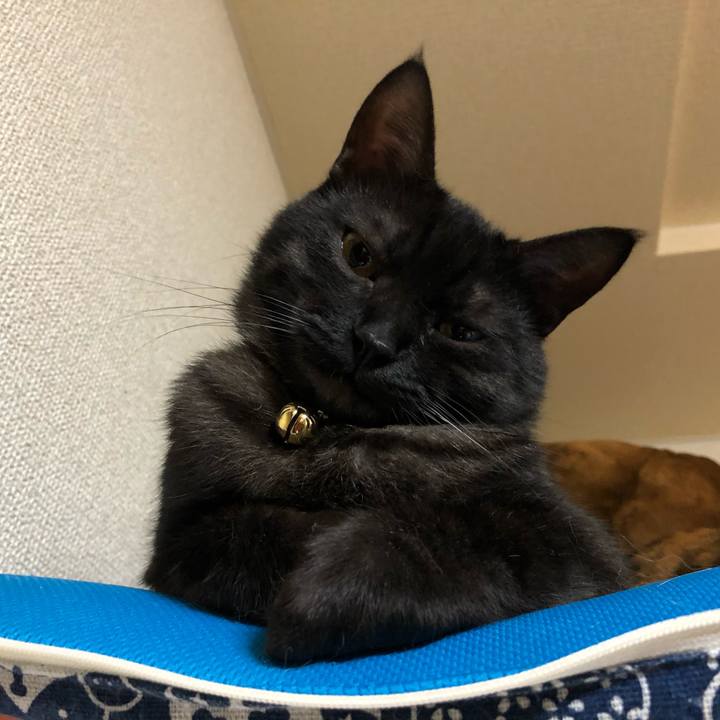 Bb6e4183 42bf 4180 a3de 338516cd1566 1622665404686