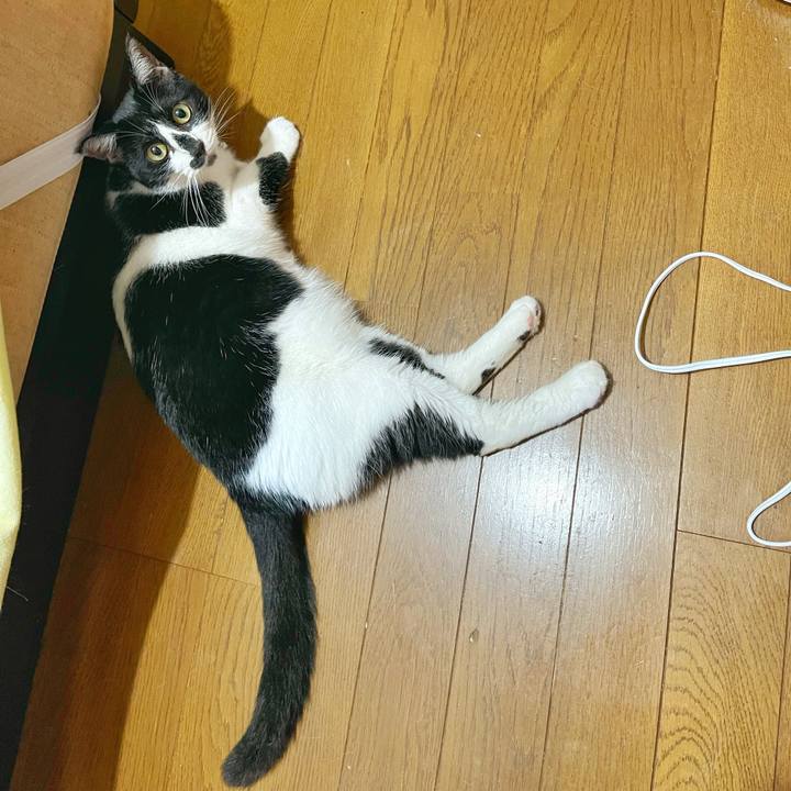 Bb6e9d82 48b1 4bda a9bb 1996f9b88cfb 1752378443639