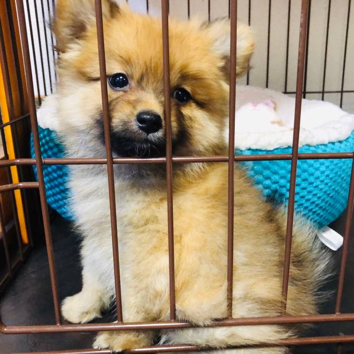 Bb6ea521 f1f8 409e a63b 4787b7bb7b9a 1572864108887