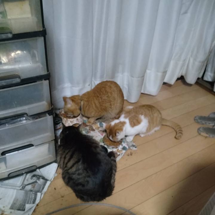 Bb6f6364 866d 4c1f b0f3 0114e180f497 1742077169685