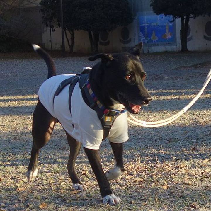 Bb6f87a6 fb90 4e70 ab1a 63a283e826b7 1639873112891