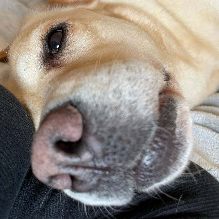 Bb6f890b 4bf4 410a b651 a4c77a731ee8 1649652887171