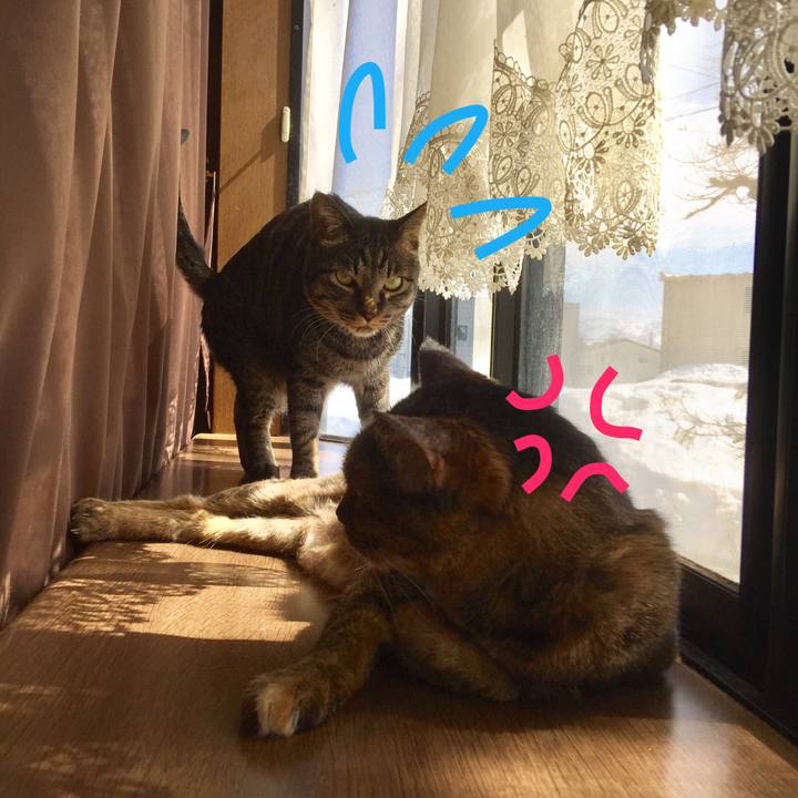 Bb6f9f8a b6b8 42cc 9056 07ff8a69e48b 1520394382026