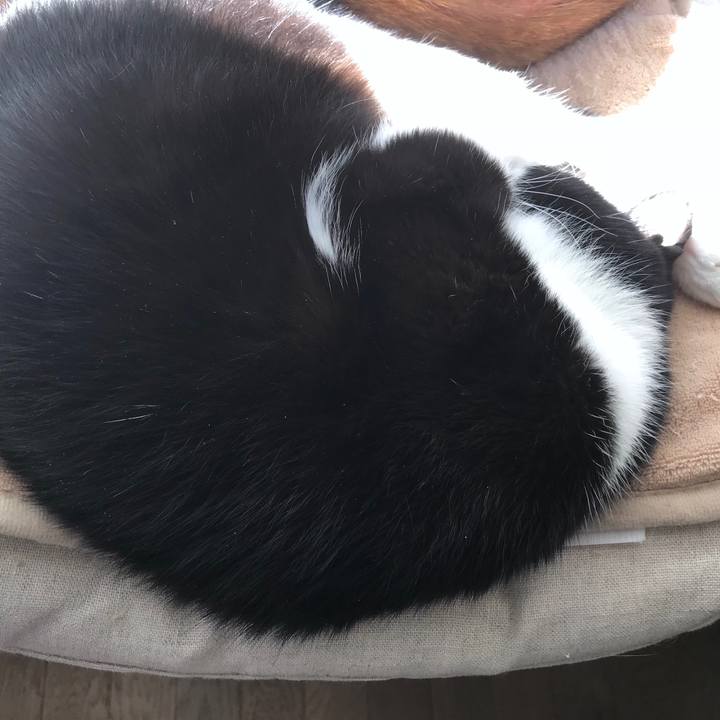 Bb6fac46 7642 4b08 835c 62eb4a32c257 1516852815224