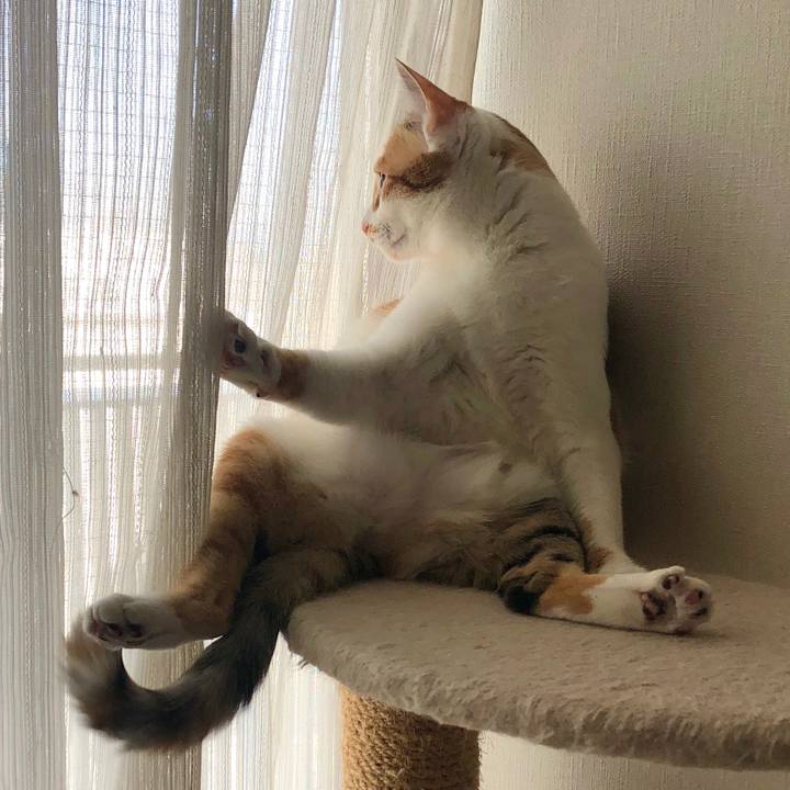 Bb6fb5f3 683b 4bcb b13a 41c4572f1f1b 1585179129336