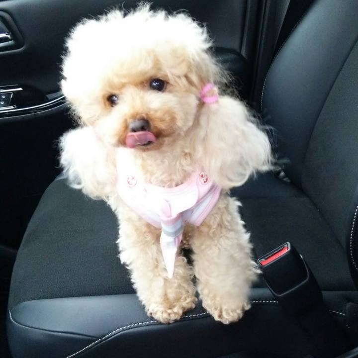 Bb6ff3f6 43cd 4b6d a345 b38e12227619 1531054165069