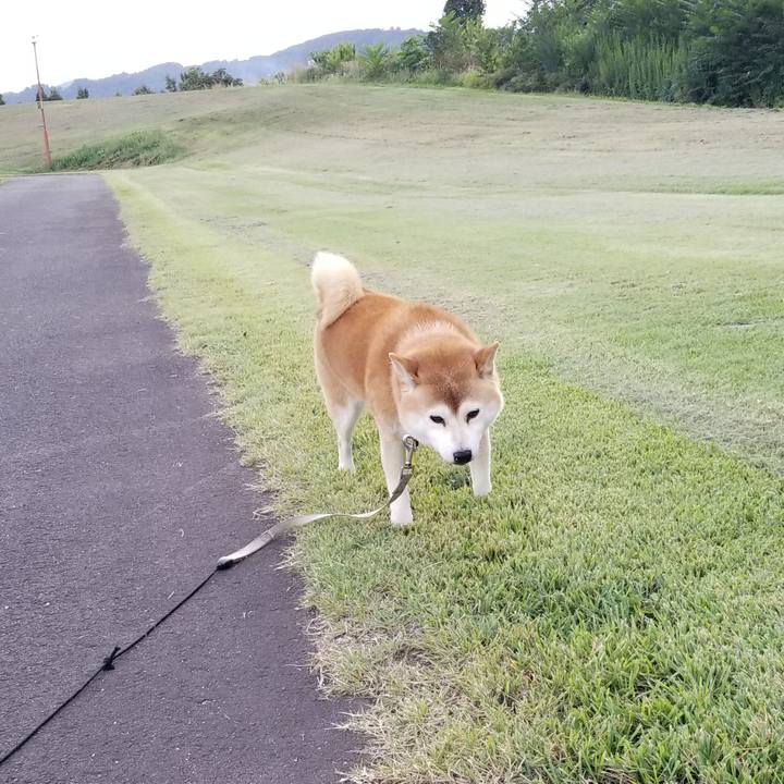 Bb6ff7eb 29ea 4572 ac52 f20761d18535 1632466977309