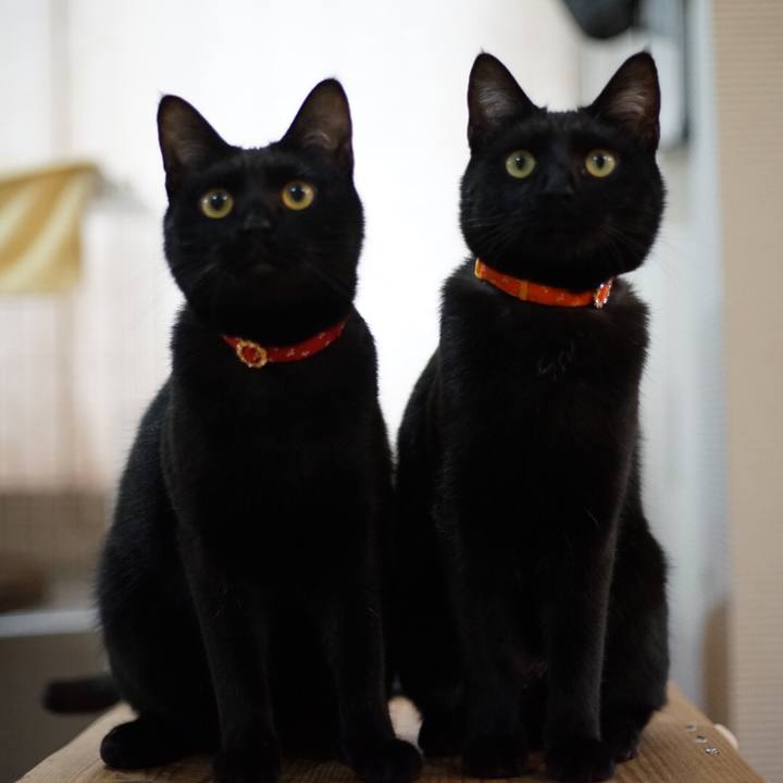 Bb700e77 022e 4d27 a3b3 3e3a8c896051 1519525822565