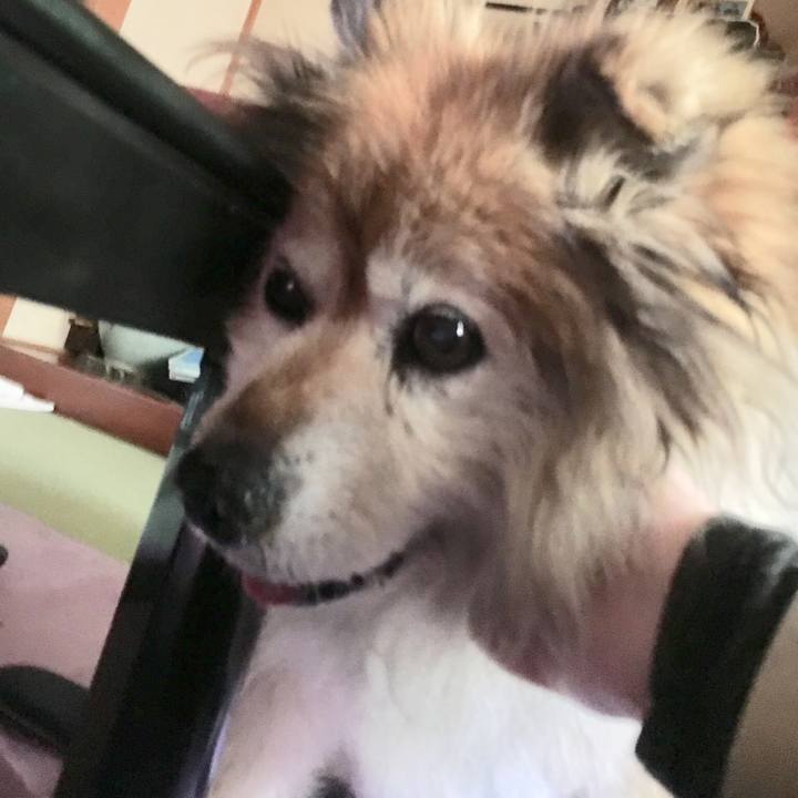 Bb700e7e f633 41ec 99fe 4f904b5651c7 1553671431584