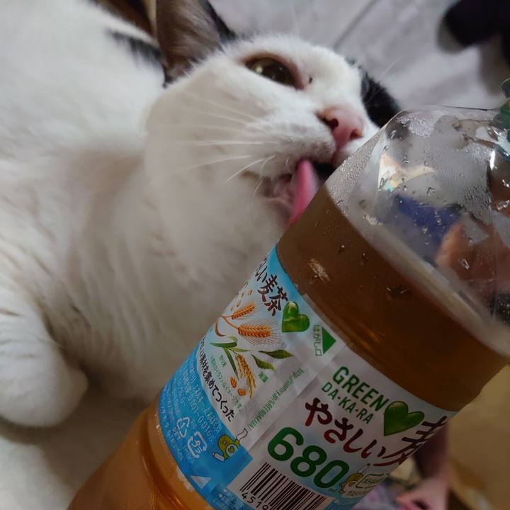 Bb7010a8 2a40 4b90 9465 0bb552d96c33 1666626981012