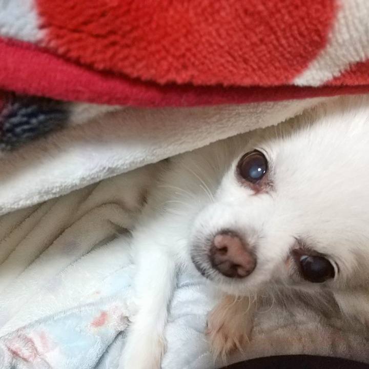 Bb702cf4 e082 4057 a9b4 80d0754ea7a2 1584703787847