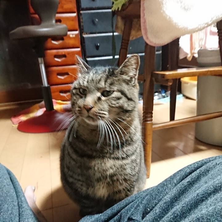 Bb704408 7afc 4f22 afbd d9f138ed8e93 1640206746427