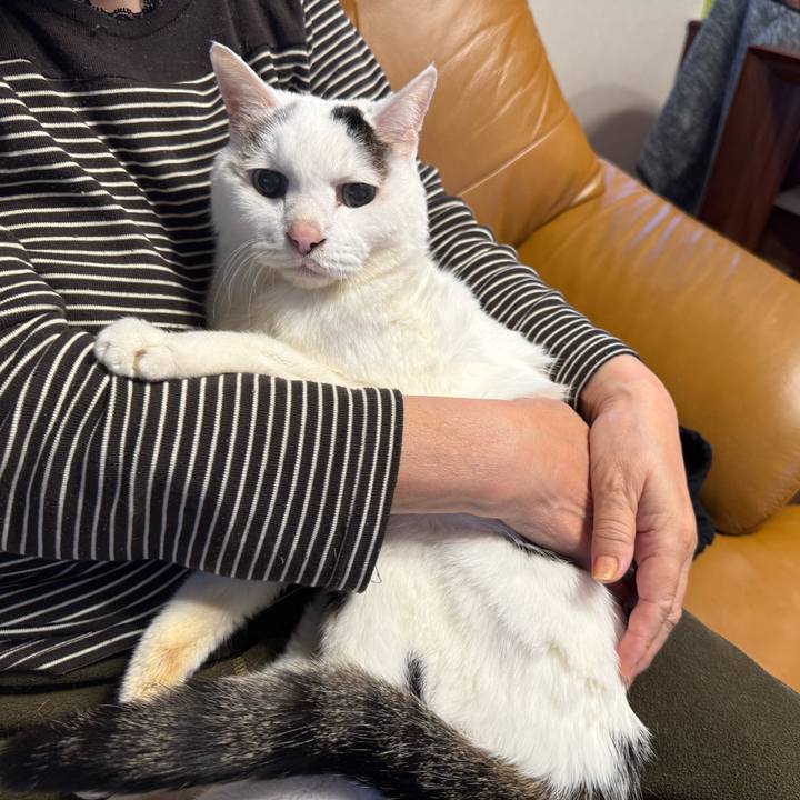 Bb70f85d 069d 4ca8 8026 f6dd4da30df9 1764548625587