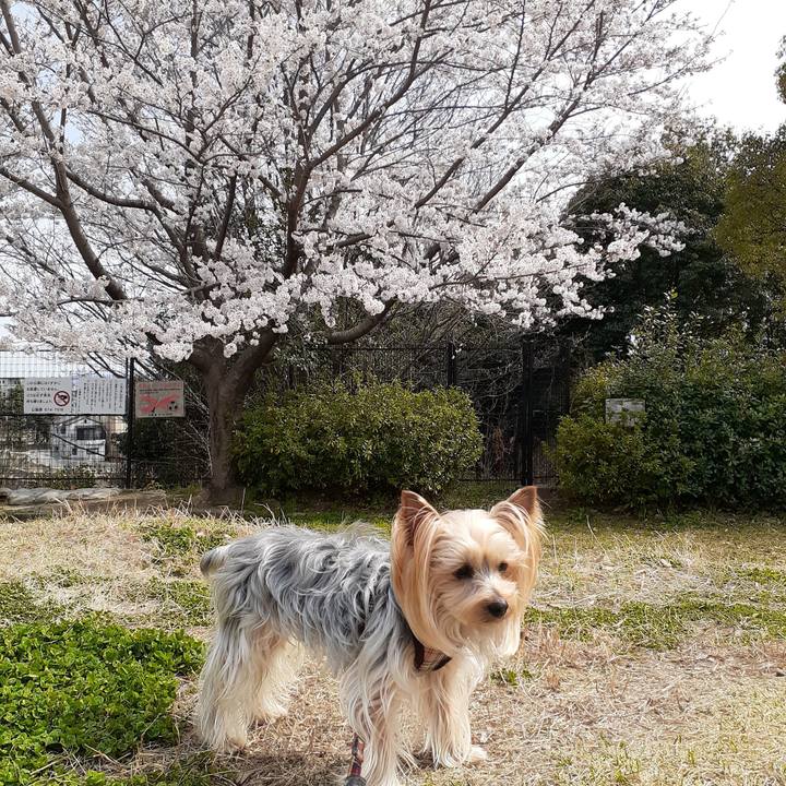 Bb712a94 a6c8 49c4 be91 9d1198a65aed 1648618098017