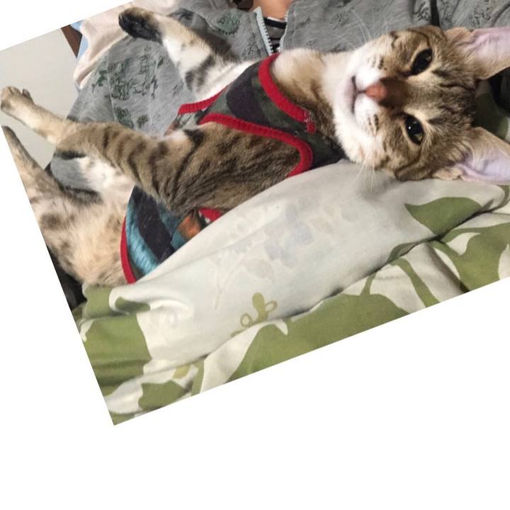 Bb7159ae ebb0 4d45 826b 8ebb1a9a2314 1586477850576