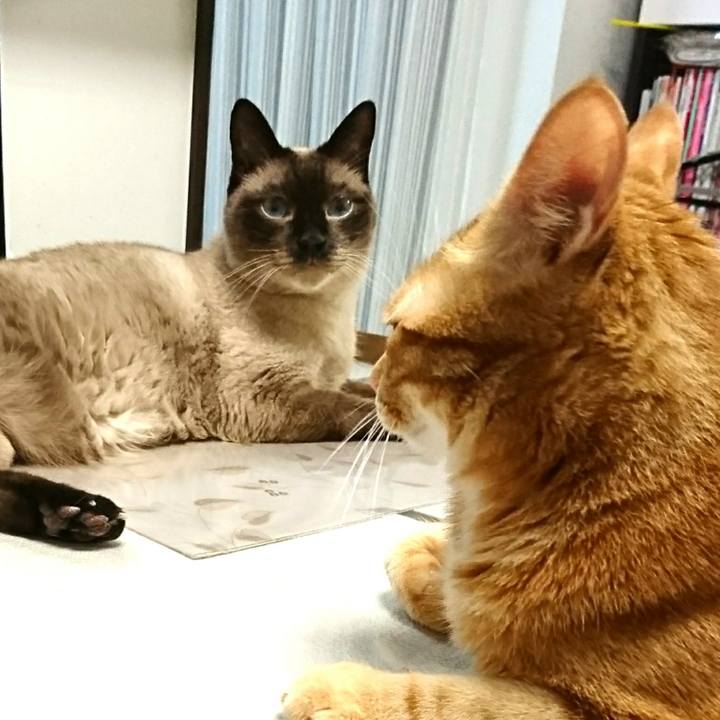 Bb717429 4aa3 4a3b 906a 82ab2b660538 1531133633470