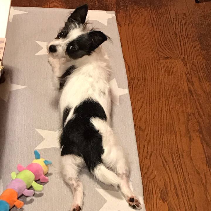 Bb717591 2155 4245 b692 a7a13c834b3b 1538647801772