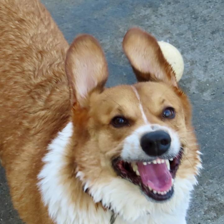 Bb717e31 6d19 4052 8d5d 444ee525fa4a 1699230250204