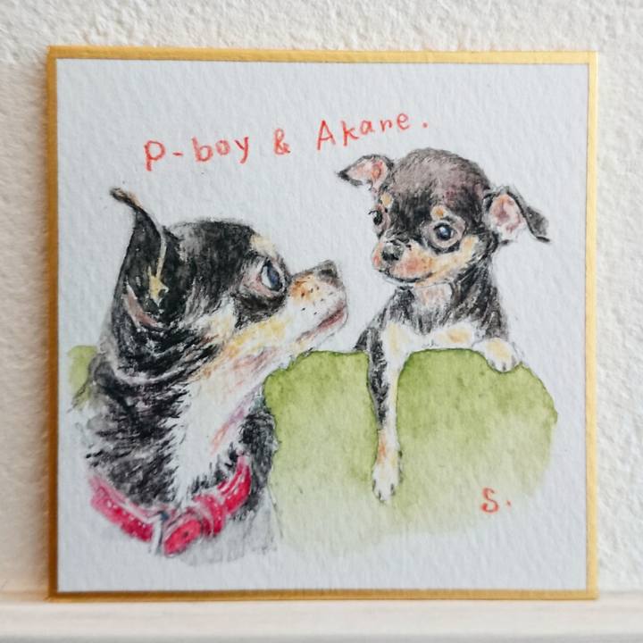 Bb71d100 e747 462f 9fb7 1d9d966fcb0a 1586158101545