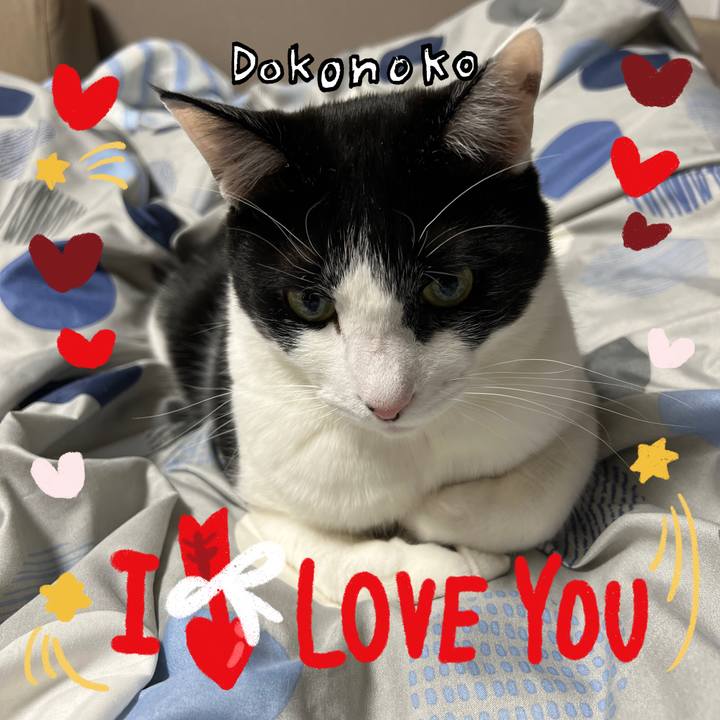 Bb7213e2 ab63 4f38 bd4f a6527a7d4f6f 1706885082905