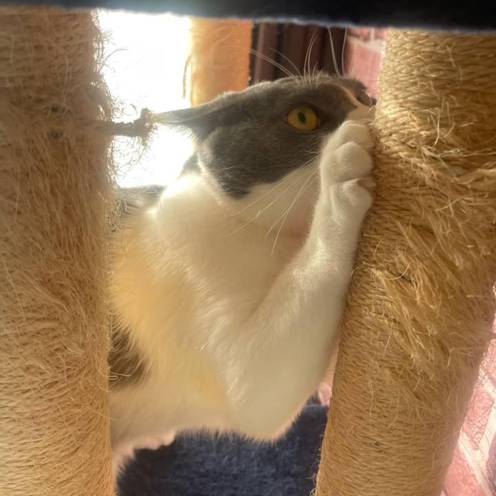 Bb729a5b 2040 486b b84a fb2a7d536c76 1699916926200