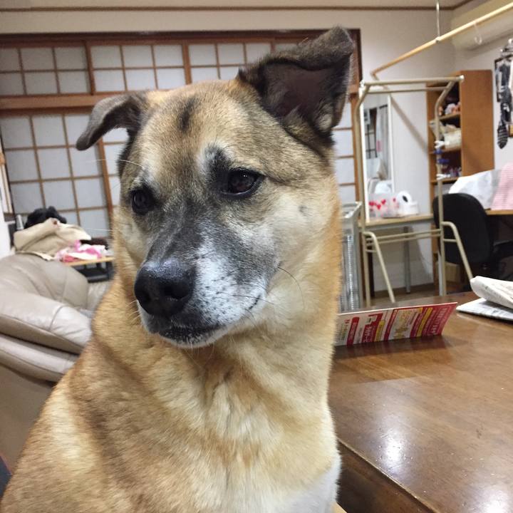 Bb72a808 8efb 4b1c 90f6 5f8fce5381c0 1511607548222