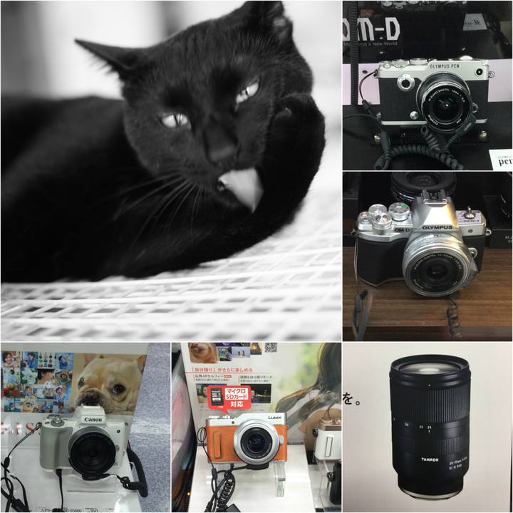 Bb72bff1 c0c8 46ed bee0 33c63201ff81 1529660463327