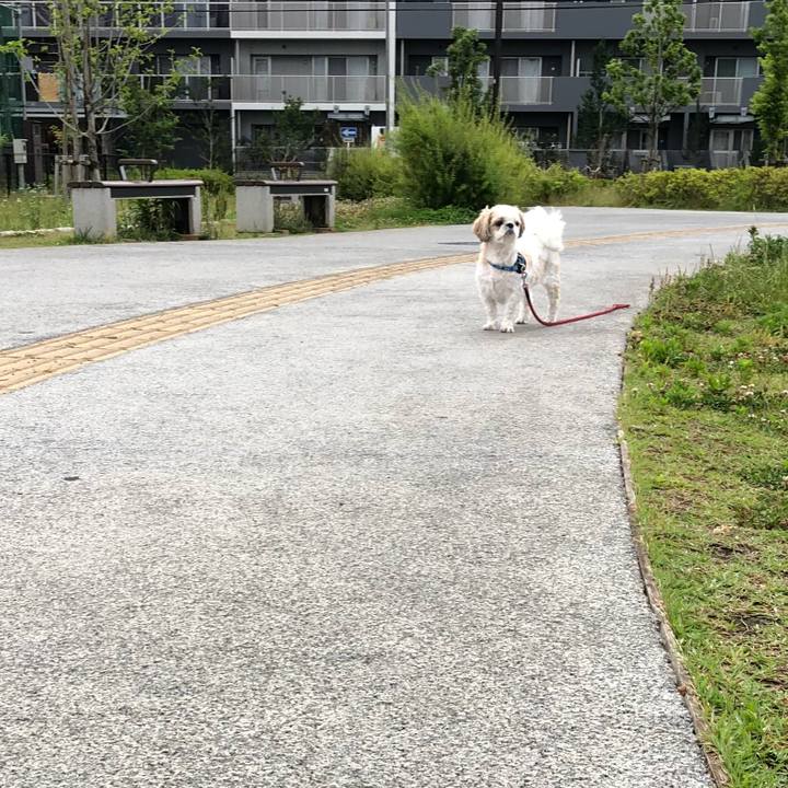 Bb72cb23 f8c9 4622 9bd1 8ffb8d39b880 1529618122188