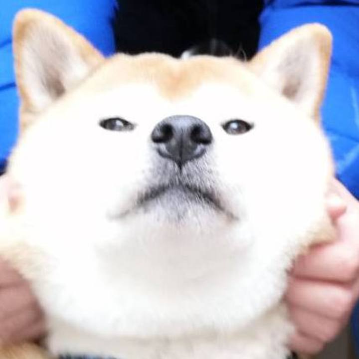 Bb72d191 b48f 4ac2 b76e 45324813b1af 1577684191553