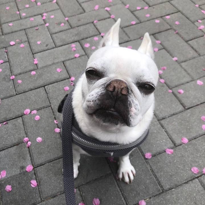 Bb72e537 04fa 41aa 8df6 7ddcaeef19c9 1648730875986