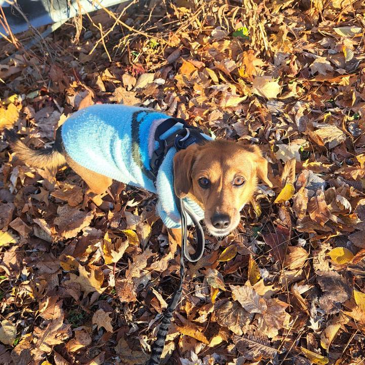 Bb7343b5 dfc1 4312 a9e5 acdc1844409b 1764024279077