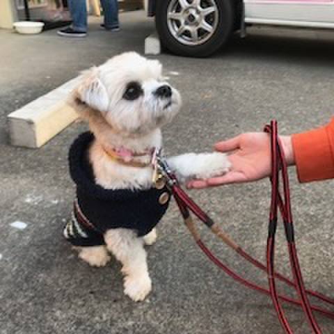 Bb738f01 ce41 40cb a2dc a8bf1419ab62 1513340209469