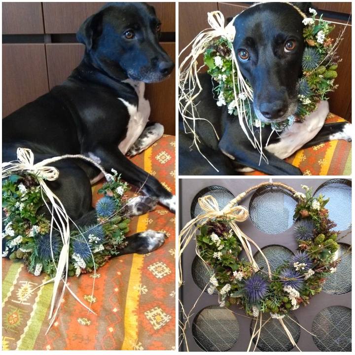 Bb73acf9 0206 43bf 898d cde4852d2b67 1628153325835