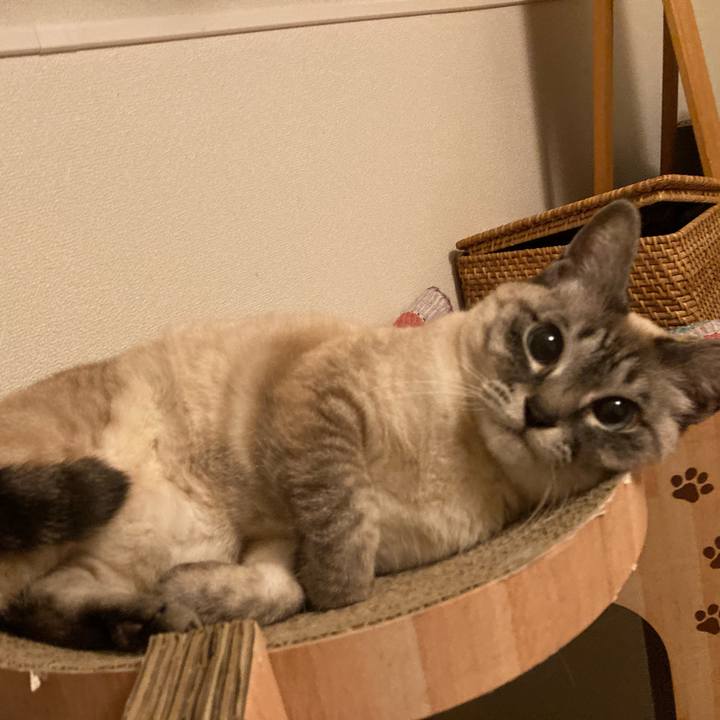 Bb73af1d 151f 41e7 ab63 5628f96beca3 1773059509913