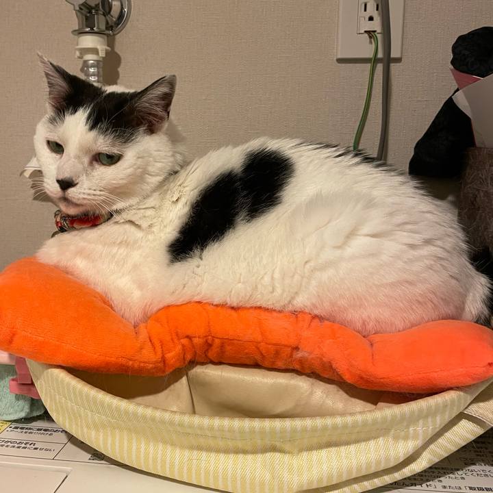 Bb73bd0d 751b 4143 a188 9b64ca90be9b 1714607247954